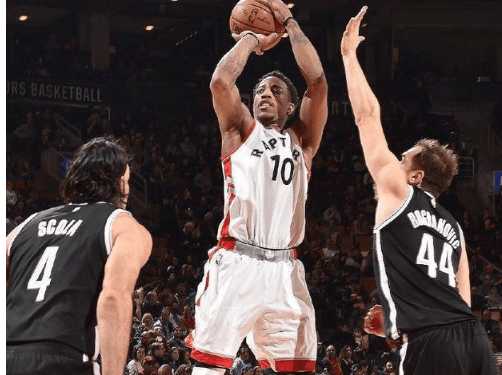 仅收获了健 仅收获了健