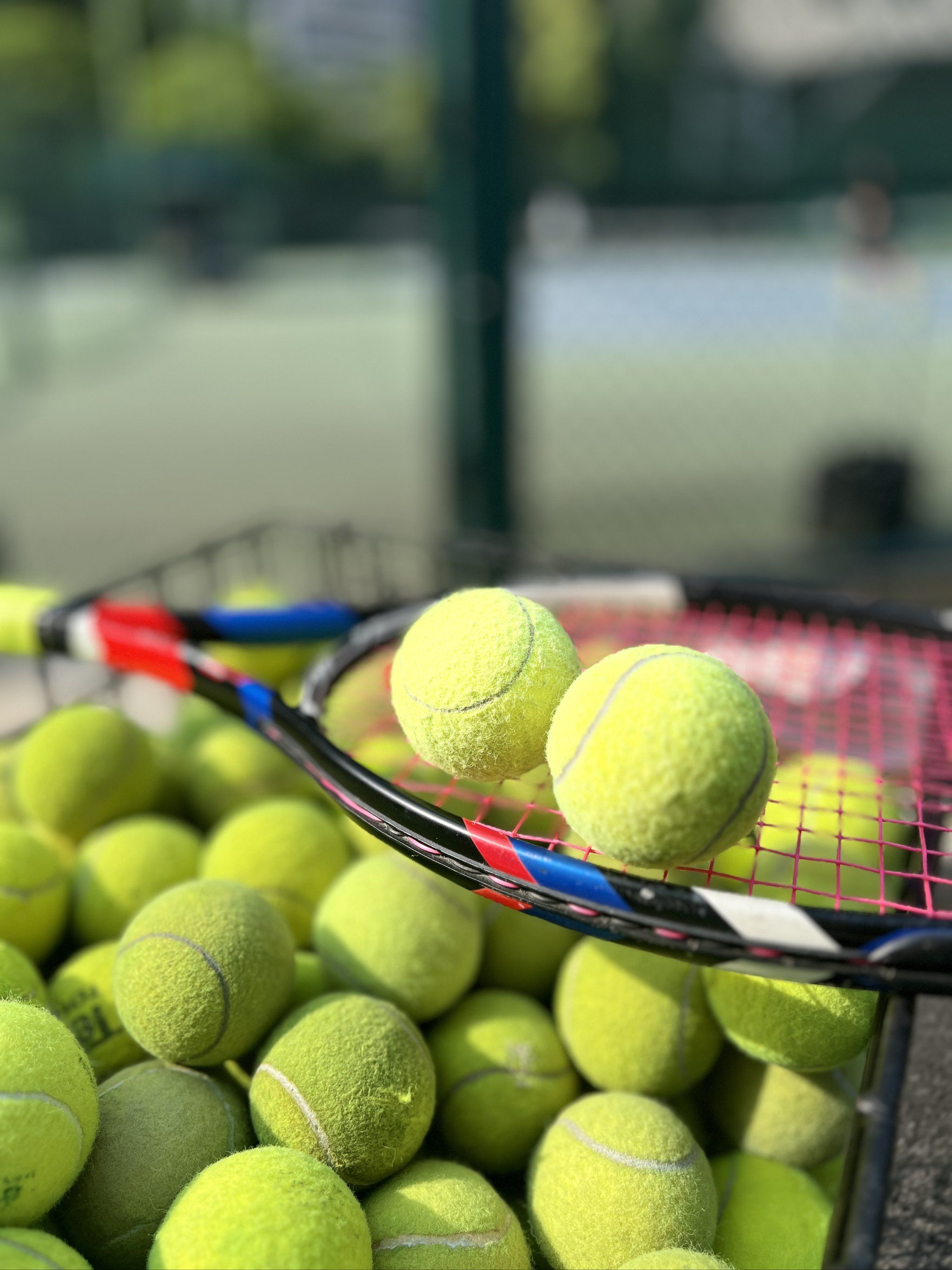 失利引发了 失利引发了