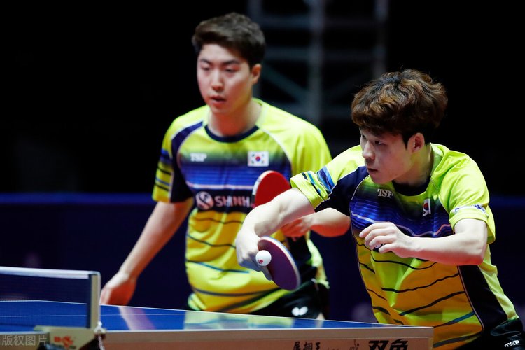 纪录片还展 纪录片还展